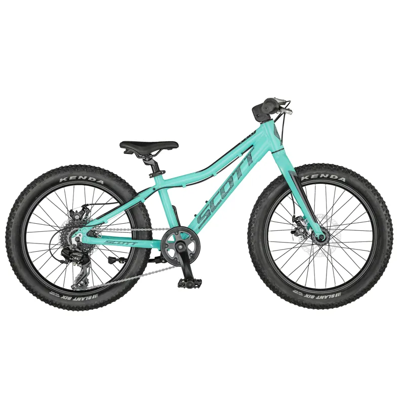 2021 Scott Roxter 20 Junior Mountain Bike Teal Blue