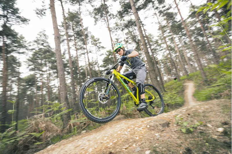 whyte 529 2018