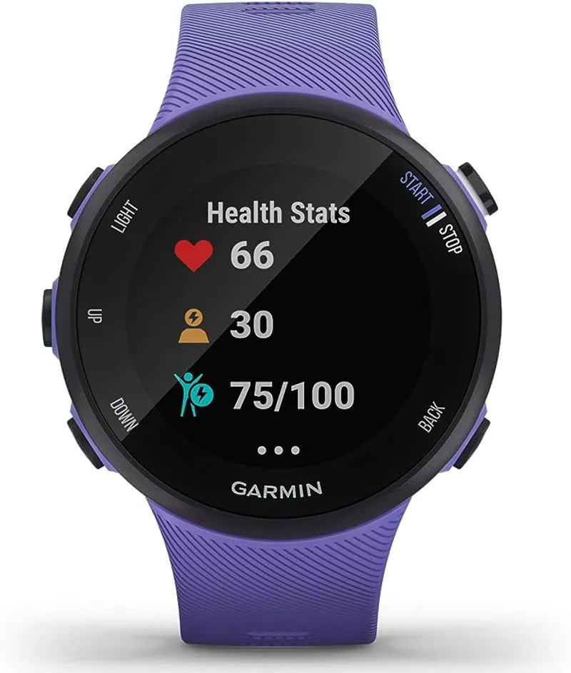 Garmin Forerunner 45S Iris GPS Running Watch-1