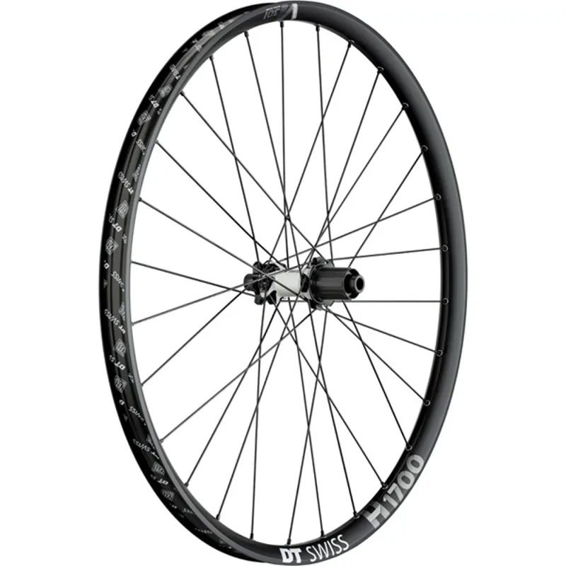 DT Swiss H17 29x30 BOOST RR Black/ Silver 29 Rear Wheel