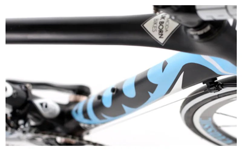 2014 Moda Molto Carbon Road Bike Blue-1