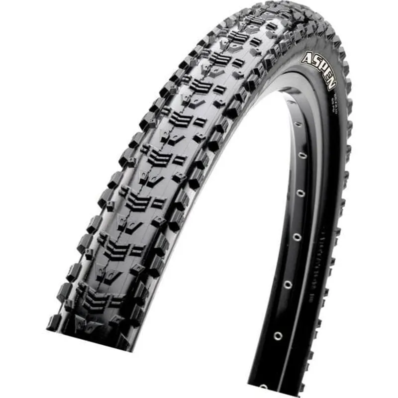 Maxxis Aspen x2.10 120 TPI Folding Dual Compound EXO TR Tyre