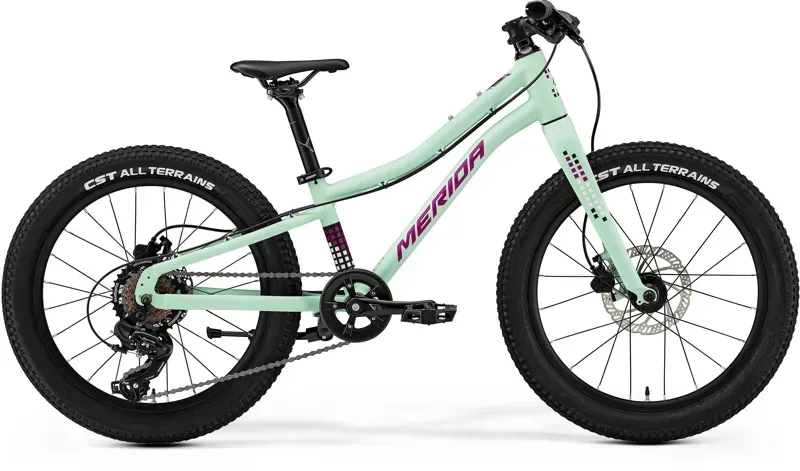 2025 Merida Matts J.20 Plus Kids Bike - Matt Mint Purple White Black