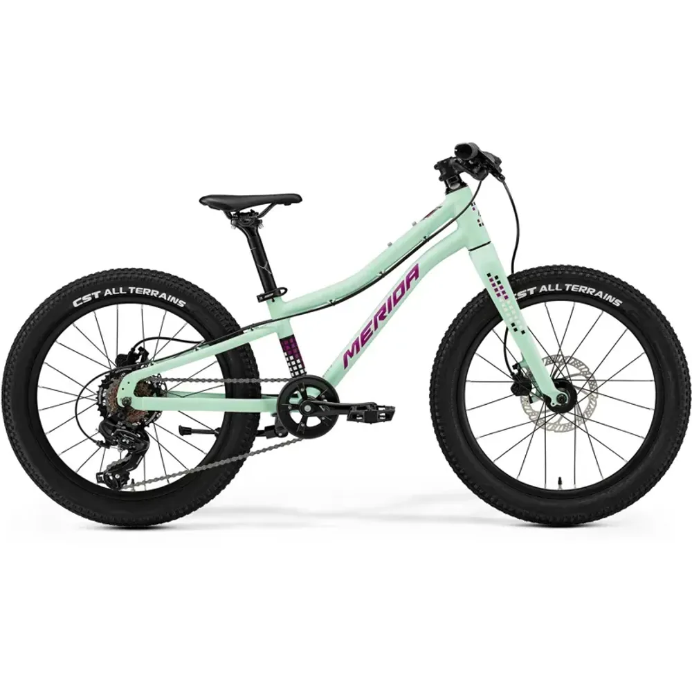 2025 Merida Matts J.20 Plus Kids Bike - Matt Mint Purple White Black