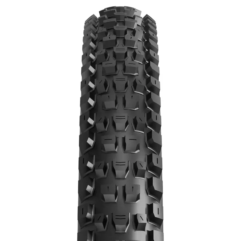 Maxxis Dissector II 29x2.4-inch MT/EXO+/TR MTB Tyre-2