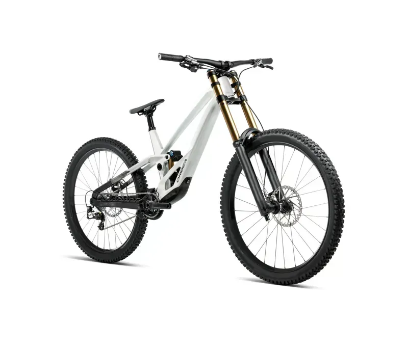 Orbea Rallon DH-LTD Mountain Bike In White Chic/Diamond Black Gloss-1