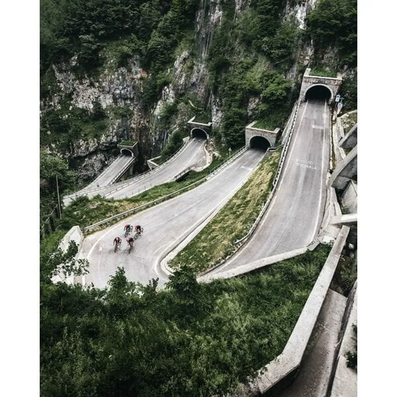 DT Swiss P 1800 SPLINE disc brake wheel clincher 23x20mm front 700c-2