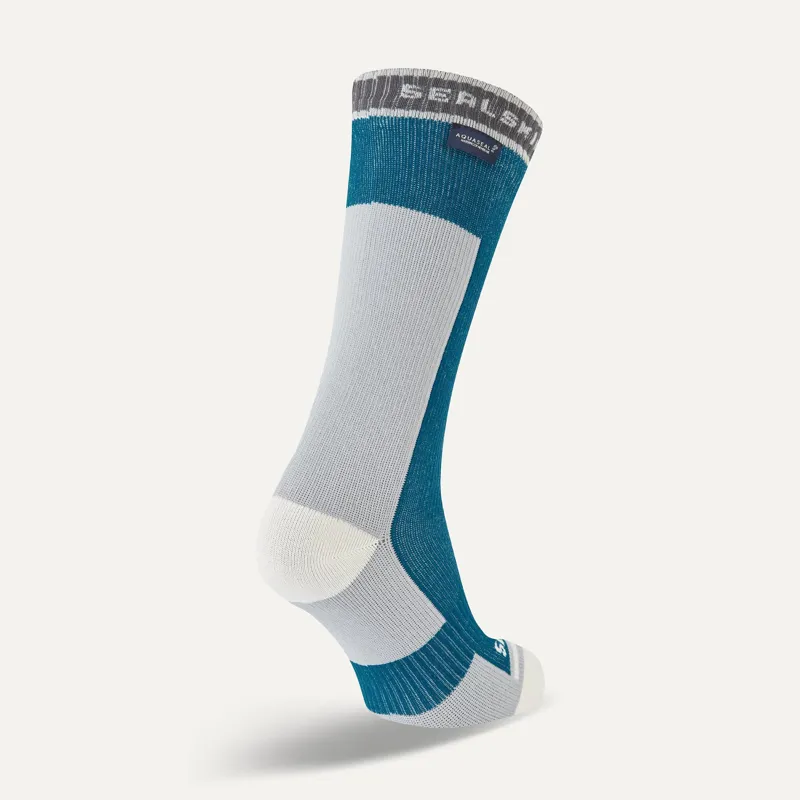 Sealskinz Holverstone Waterproof Ankle Length Lightweight Running Sock - Blue-1