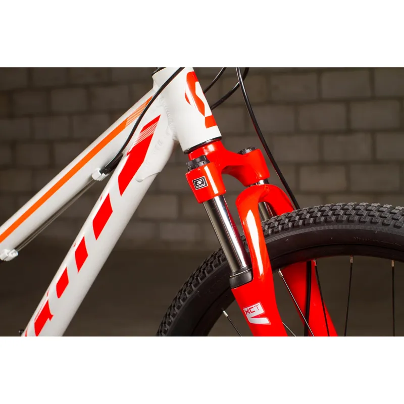 scott scale disc 24